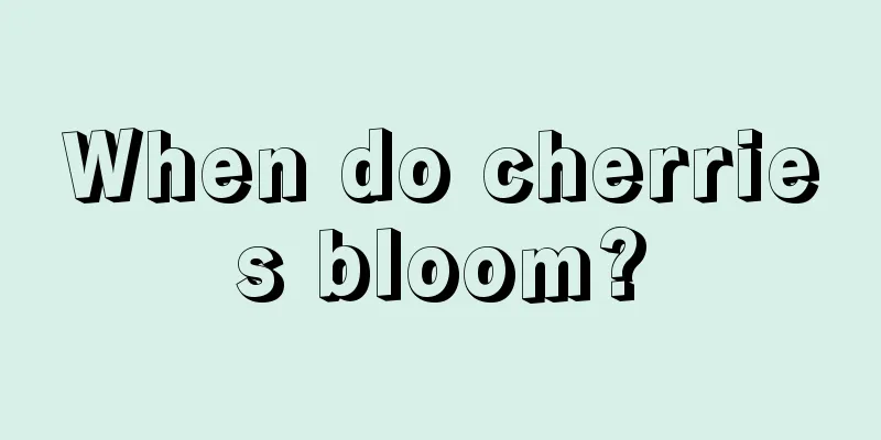 When do cherries bloom?