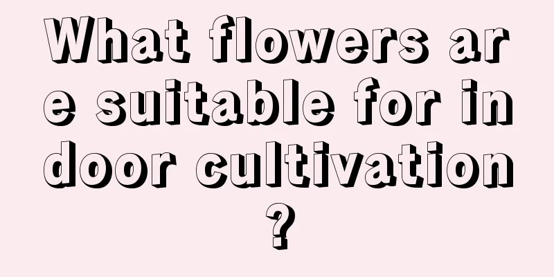 What flowers are suitable for indoor cultivation?