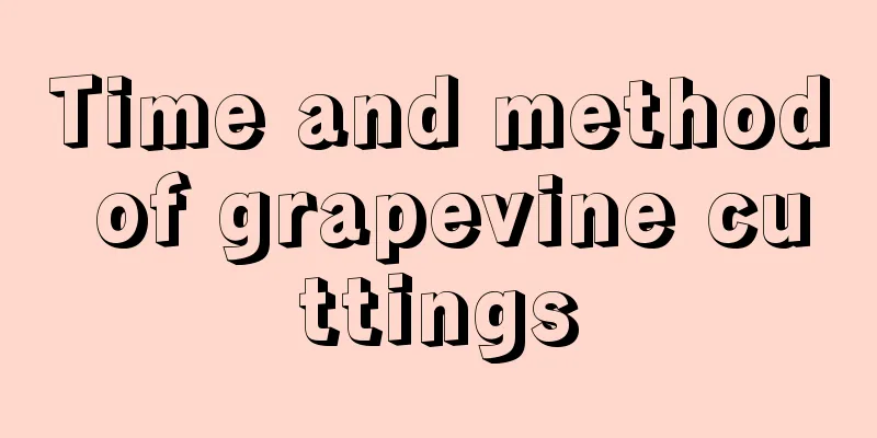 Time and method of grapevine cuttings