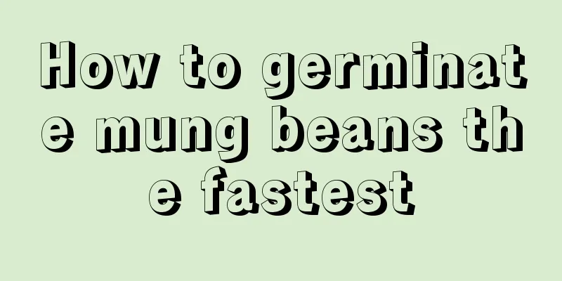 How to germinate mung beans the fastest