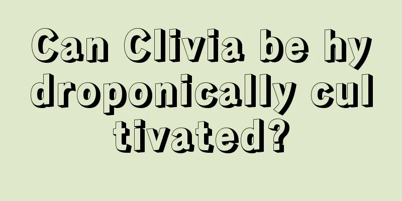 Can Clivia be hydroponically cultivated?