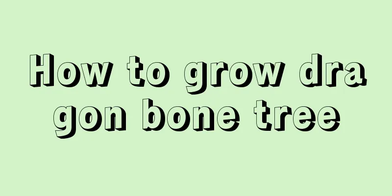 How to grow dragon bone tree