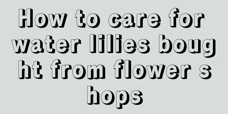 How to care for water lilies bought from flower shops