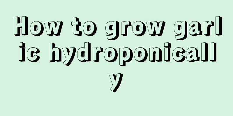 How to grow garlic hydroponically