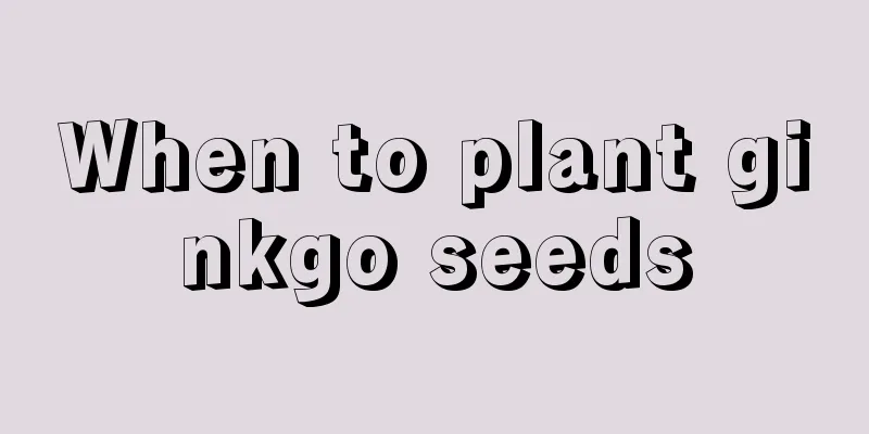 When to plant ginkgo seeds