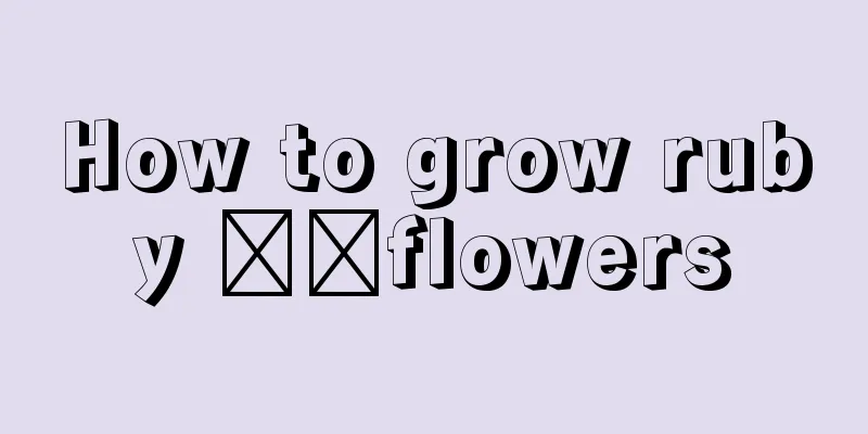 How to grow ruby ​​flowers