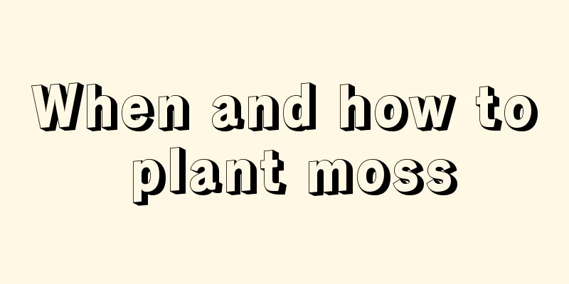 When and how to plant moss