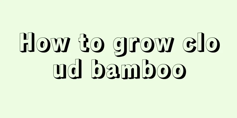 How to grow cloud bamboo