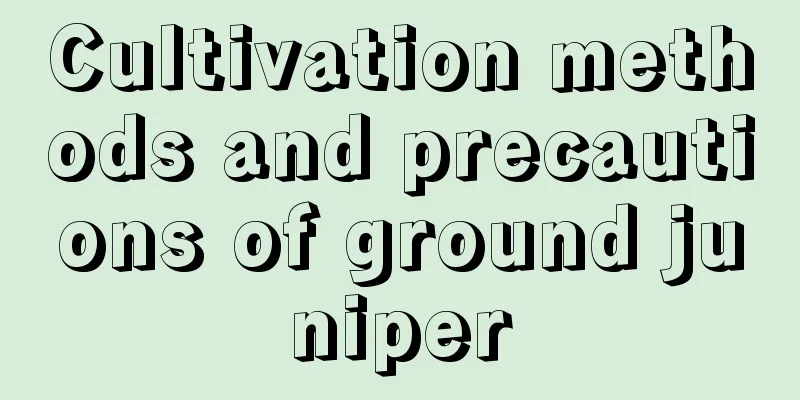 Cultivation methods and precautions of ground juniper