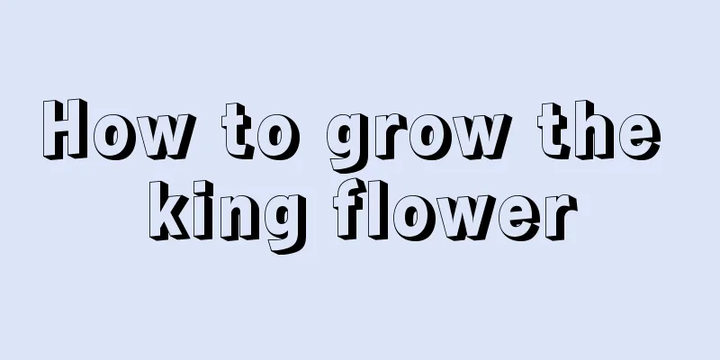 How to grow the king flower