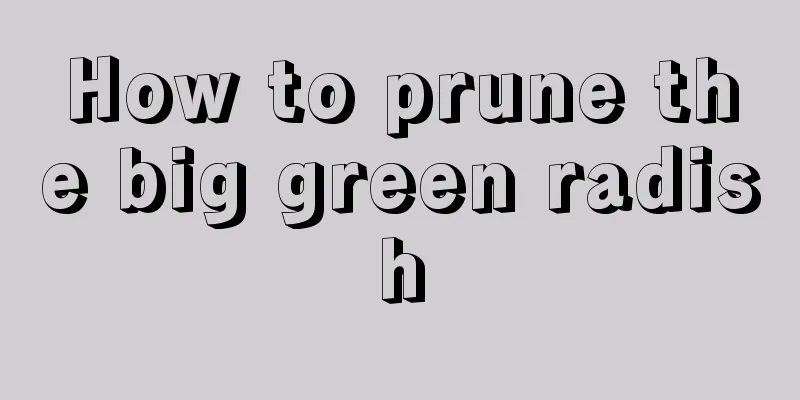 How to prune the big green radish