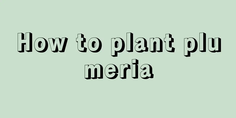 How to plant plumeria