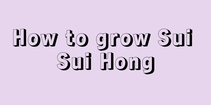 How to grow Sui Sui Hong