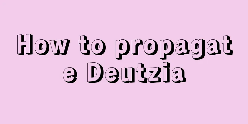 How to propagate Deutzia