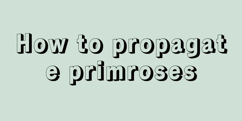 How to propagate primroses