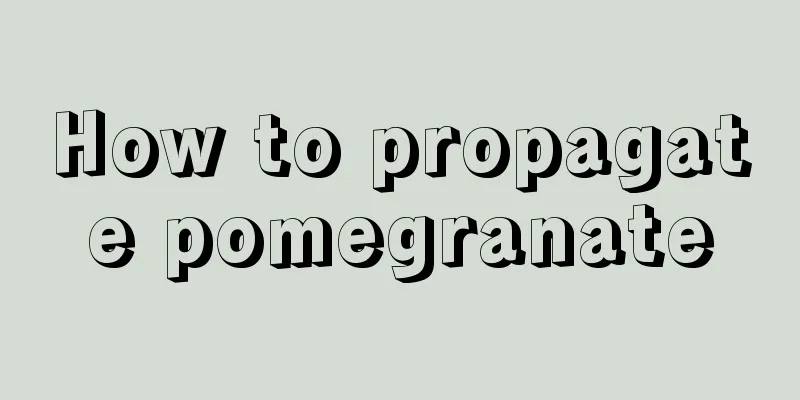 How to propagate pomegranate