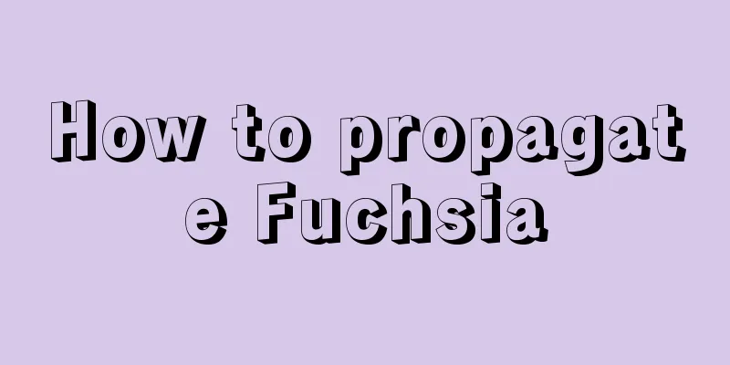 How to propagate Fuchsia