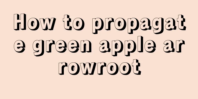 How to propagate green apple arrowroot