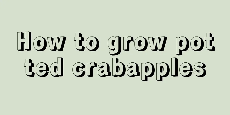 How to grow potted crabapples