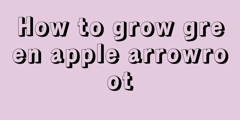 How to grow green apple arrowroot