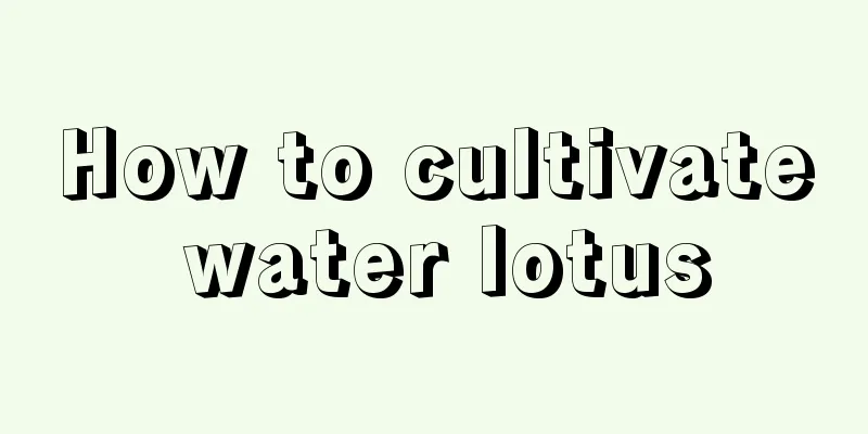 How to cultivate water lotus