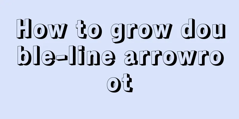 How to grow double-line arrowroot