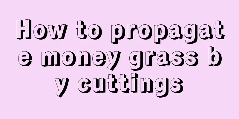 How to propagate money grass by cuttings