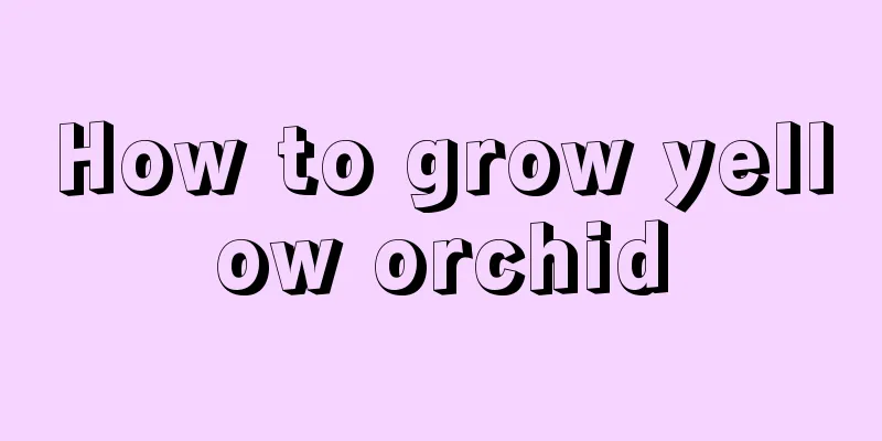 How to grow yellow orchid