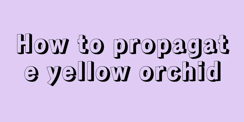 How to propagate yellow orchid