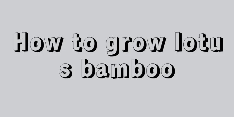 How to grow lotus bamboo