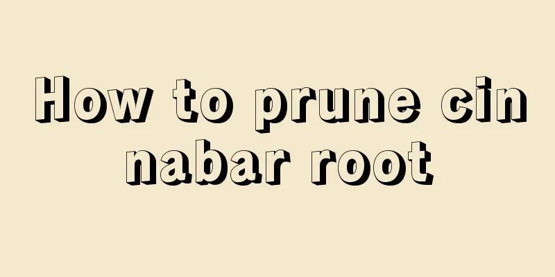 How to prune cinnabar root