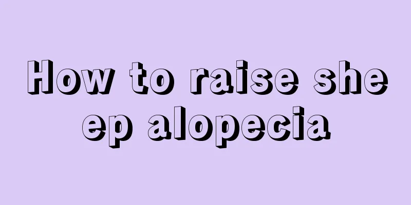 How to raise sheep alopecia