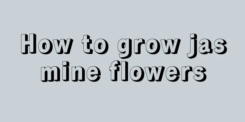 How to grow jasmine flowers