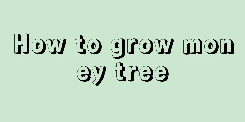 How to grow money tree