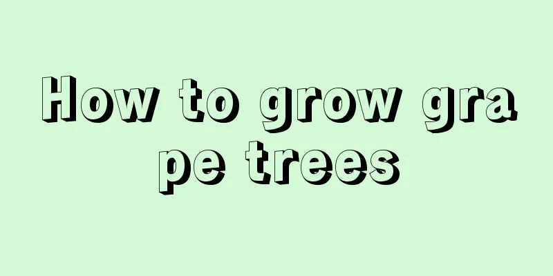 How to grow grape trees