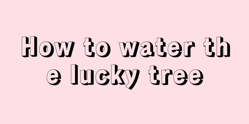 How to water the lucky tree