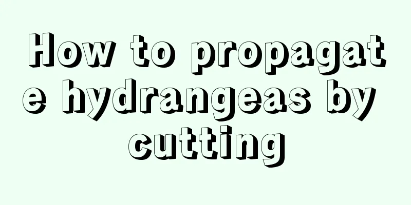 How to propagate hydrangeas by cutting