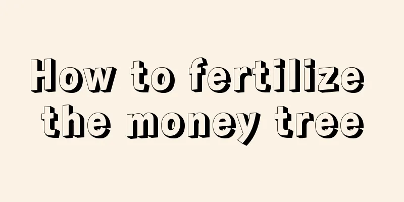 How to fertilize the money tree