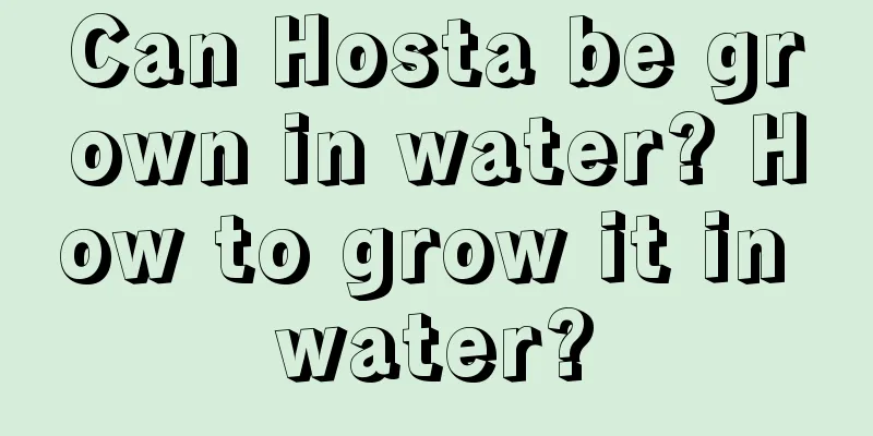 Can Hosta be grown in water? How to grow it in water?