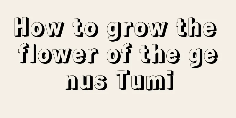 How to grow the flower of the genus Tumi