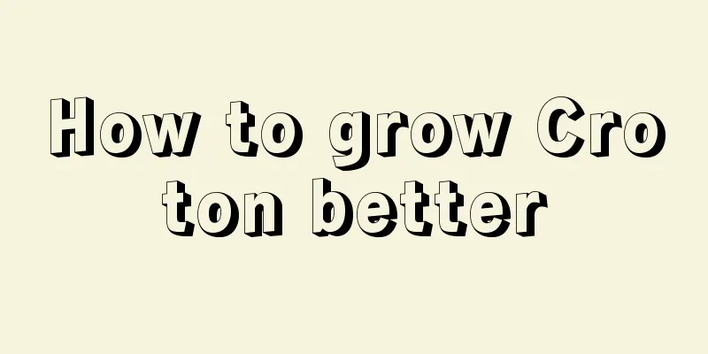 How to grow Croton better