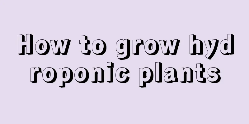 How to grow hydroponic plants