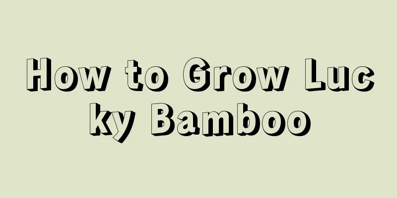 How to Grow Lucky Bamboo