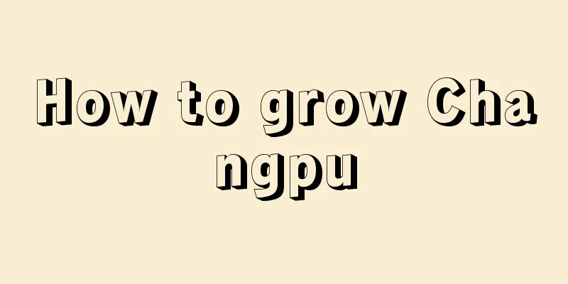 How to grow Changpu