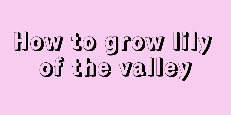 How to grow lily of the valley