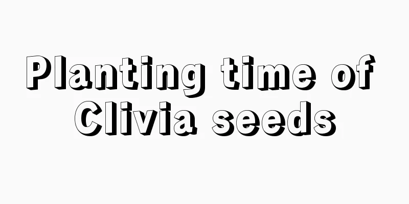 Planting time of Clivia seeds