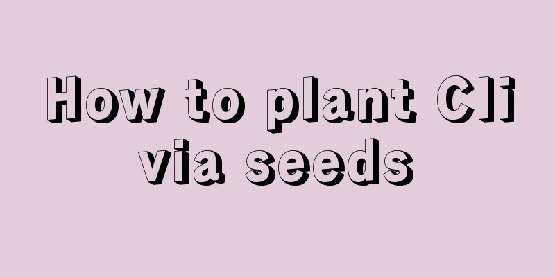 How to plant Clivia seeds