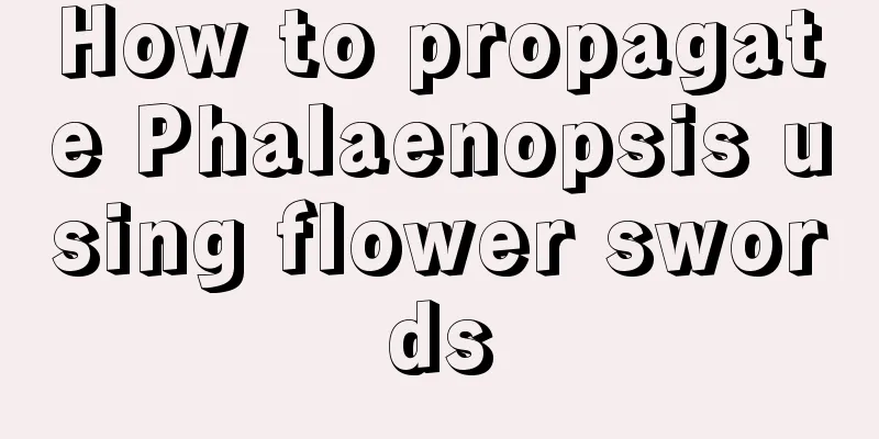 How to propagate Phalaenopsis using flower swords