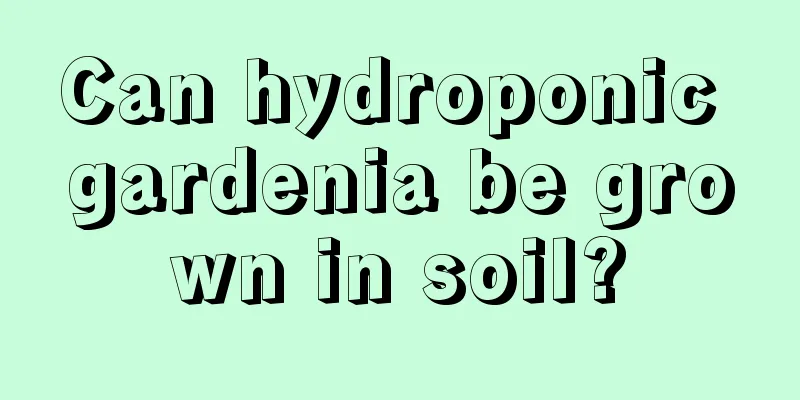 Can hydroponic gardenia be grown in soil?