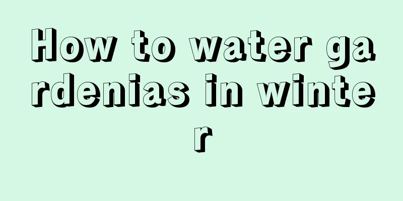 How to water gardenias in winter